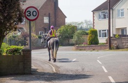 Horse rider on road